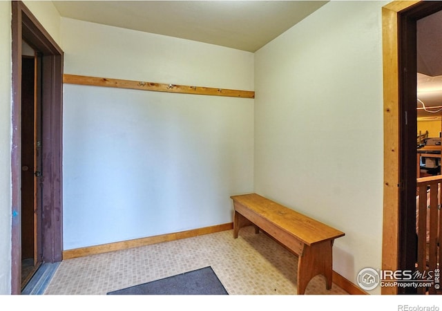 38 Navajo Trl, Nederland, CO 80466 - mudroom with baseboards