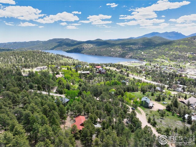 38 Navajo Trl, Nederland, CO 80466 - photo 34