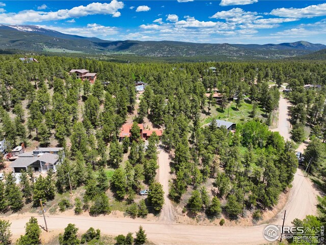 38 Navajo Trl, Nederland, CO 80466 - photo 35