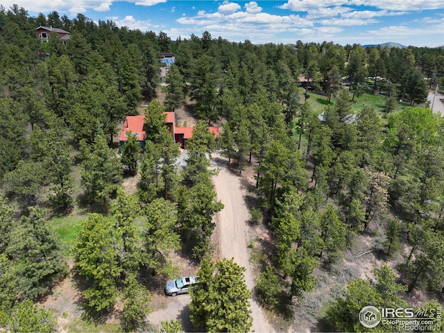 38 Navajo Trl, Nederland, CO 80466 - photo 36