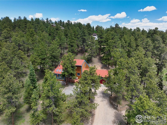 38 Navajo Trl, Nederland, CO 80466 - photo 37