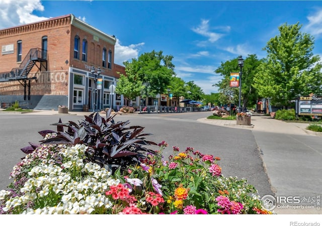 913 Green Mountain Dr, Erie, CO 80516 - view of asphalt street with street lights, sidewalks, and curbs
