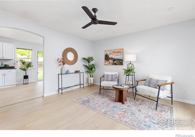 13441 Sheridan Blvd, Broomfield, CO 80020 - living area featuring light wood finished floors, a ceiling fan, baseboards, and arched walkways