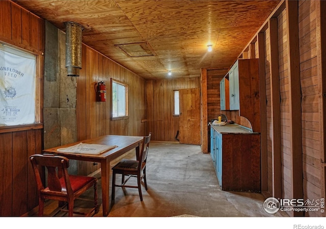 545 Eldorado Ave, Nederland, CO 80466 - dining area featuring wooden walls and light colored carpet