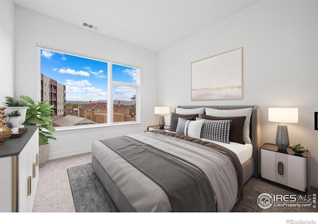 2876 W 53rd Ave Unit 301, Denver, CO 80221 - carpeted bedroom featuring baseboards
