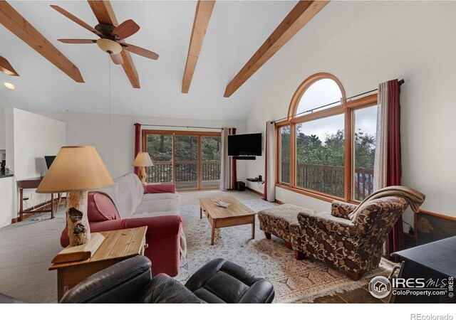 17284 W County Road 74e, Red Feather Lakes, CO 80545 - living room featuring carpet floors and a ceiling fan