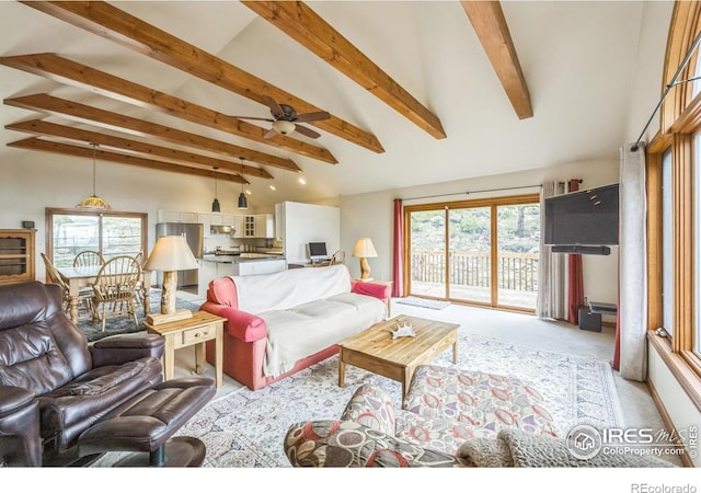 17284 W County Road 74e, Red Feather Lakes, CO 80545 - carpeted living area with a ceiling fan