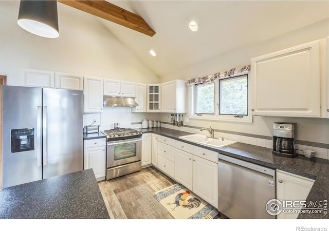 17284 W County Road 74e, Red Feather Lakes, CO 80545 - kitchen with appliances with stainless steel finishes, under cabinet range hood, a sink, dark countertops, and white cabinets