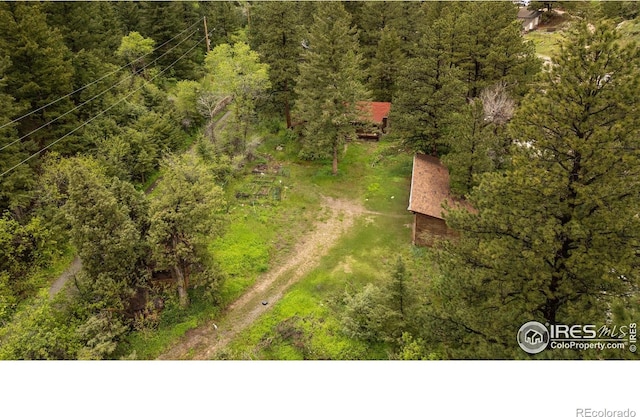 35106 Boulder Canyon Dr, Boulder, CO 80302 - drone / aerial view of a forest