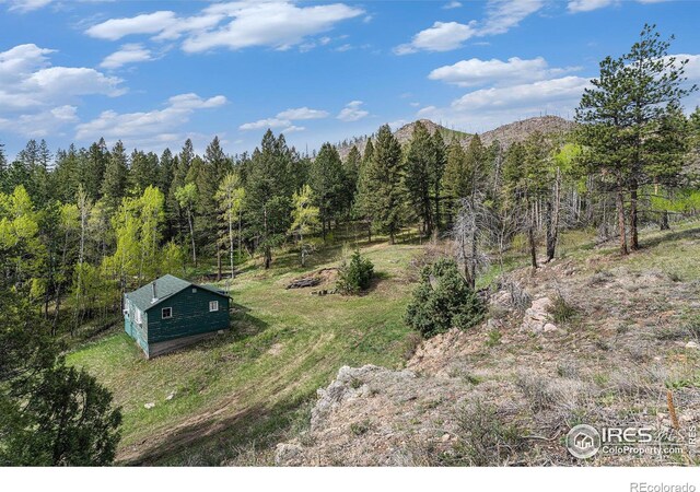 5959 Stove Prairie Rd, Bellvue, CO 80512 - photo 5