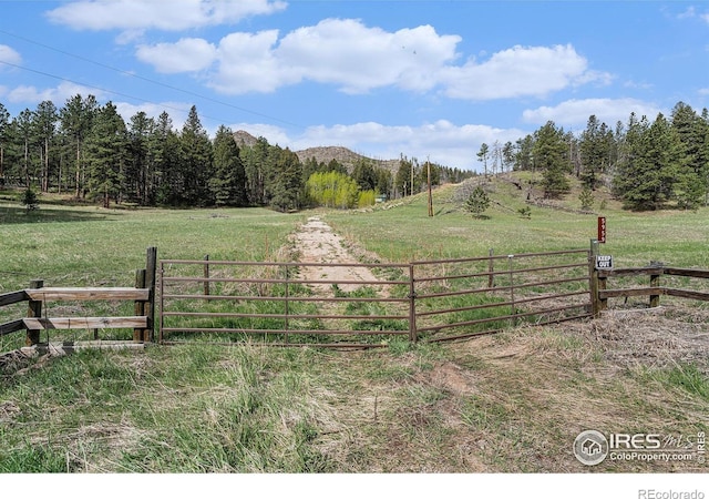 5959 Stove Prairie Rd, Bellvue, CO 80512 - photo 13