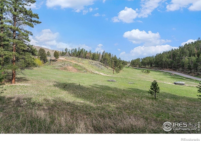 5959 Stove Prairie Rd, Bellvue, CO 80512 - photo 14