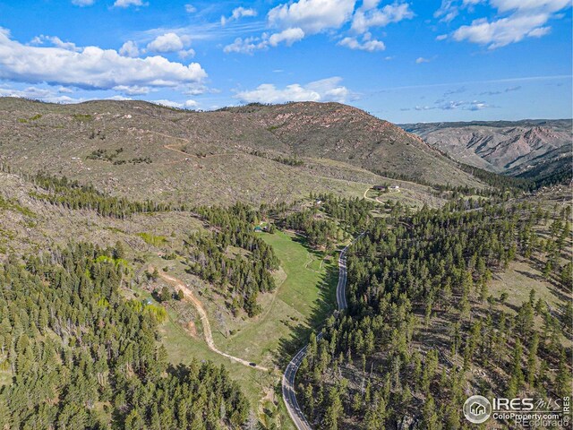5959 Stove Prairie Rd, Bellvue, CO 80512 - photo 15