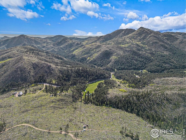 5959 Stove Prairie Rd, Bellvue, CO 80512 - photo 16