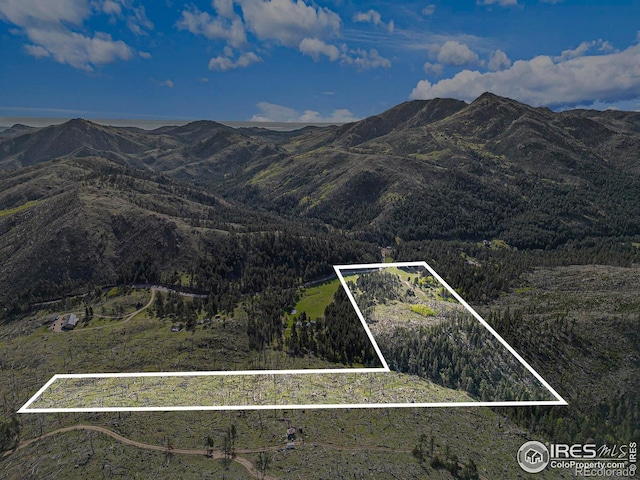 5959 Stove Prairie Rd, Bellvue, CO 80512 - photo 17