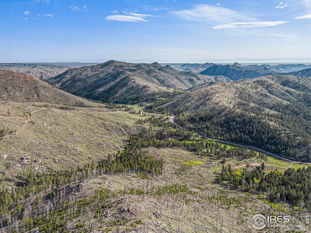 5959 Stove Prairie Rd, Bellvue, CO 80512 - photo 18