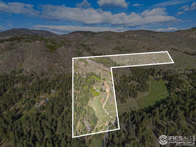 5959 Stove Prairie Rd, Bellvue, CO 80512 - photo 20