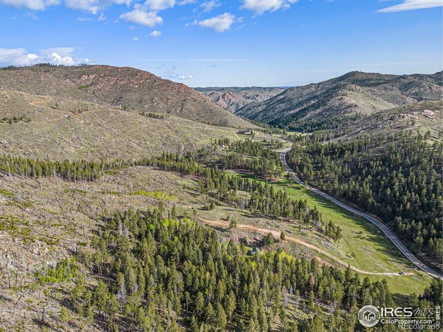 5959 Stove Prairie Rd, Bellvue, CO 80512 - photo 21