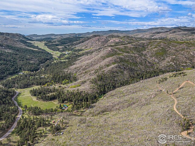 5959 Stove Prairie Rd, Bellvue, CO 80512 - photo 23