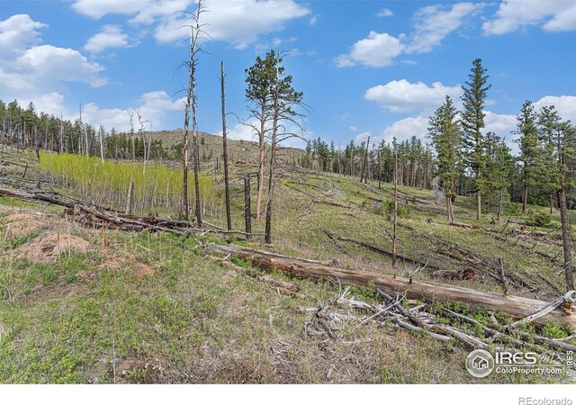 5959 Stove Prairie Rd, Bellvue, CO 80512 - photo 24