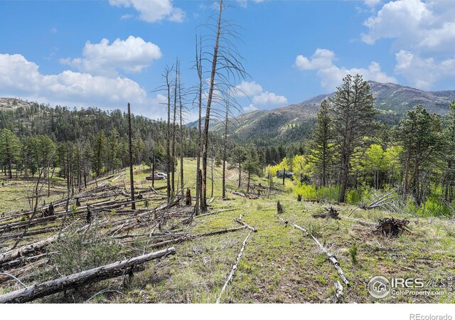 5959 Stove Prairie Rd, Bellvue, CO 80512 - photo 27
