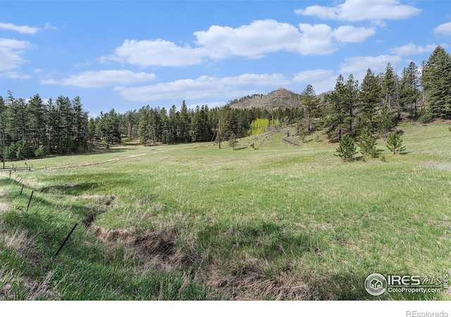 5959 Stove Prairie Rd, Bellvue, CO 80512 - photo 28