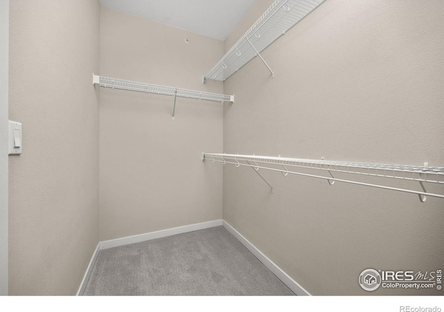 13598 Via Varra Unit 404, Broomfield, CO 80020 - spacious closet with carpet floors