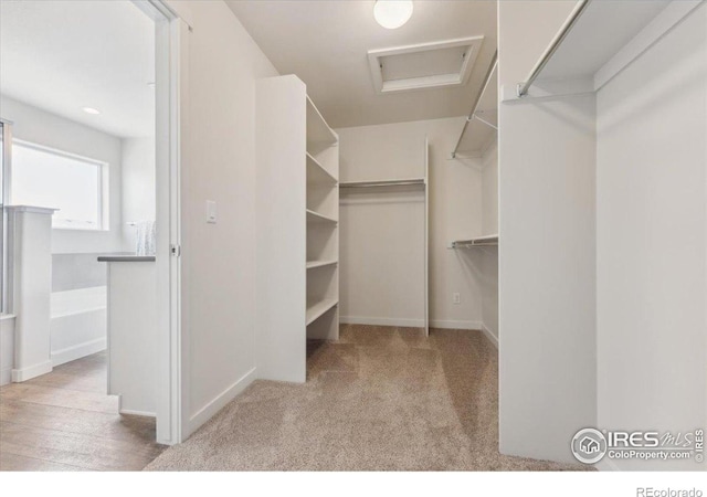 1257 Wild Basin Rd, Severance, CO 80550 - spacious closet featuring attic access and carpet flooring