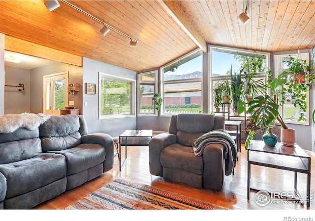 50 S 31st St, Boulder, CO 80305 - living room featuring rail lighting, hardwood / wood-style flooring, healthy amount of natural light, wood ceiling, and lofted ceiling