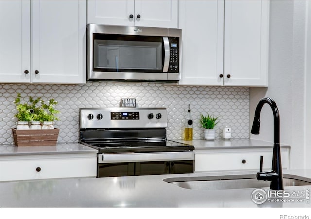 2086 Autumn Moon Dr Unit 7, Windsor, CO 80550 - kitchen featuring stainless steel appliances, a sink, white cabinetry, and backsplash