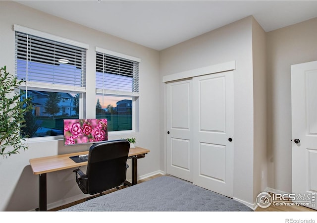 2086 Autumn Moon Dr Unit 7, Windsor, CO 80550 - office with baseboards