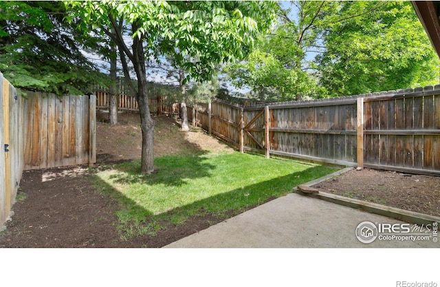 4529 Shoreline Dr Unit 6, Fort Collins, CO 80526 - view of yard with a patio area
