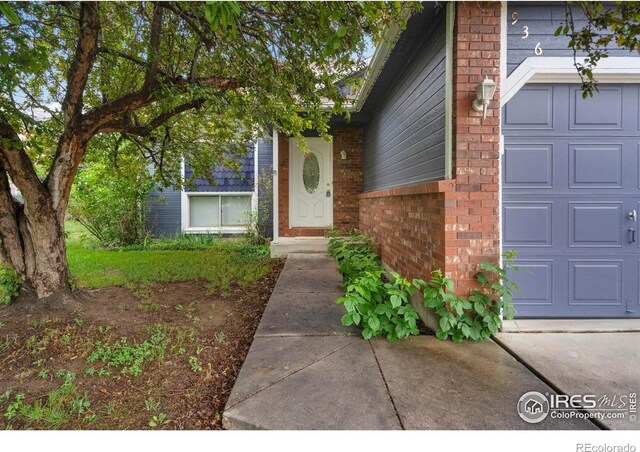 936 Bramblebush St, Fort Collins, CO 80524 - photo 4