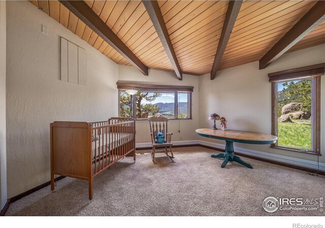 1692 Kiowa Rd, Lyons, CO 80540 - photo 21