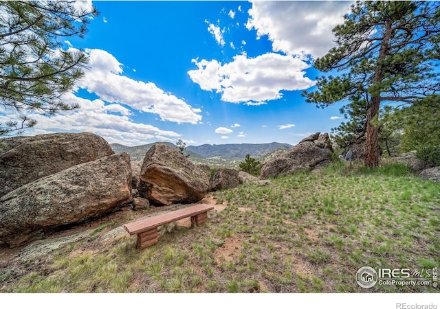 1692 Kiowa Rd, Lyons, CO 80540 - photo 33