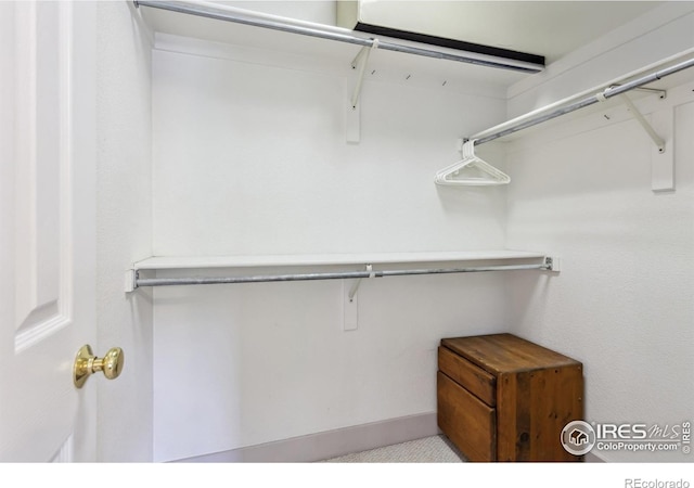 820 Kimbark St Unit D, Longmont, CO 80501 - view of walk in closet