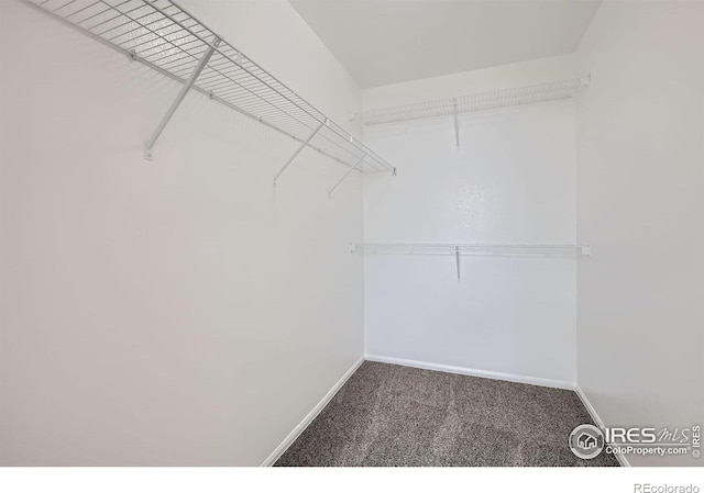2220 Woodbury Ln, Fort Collins, CO 80524 - spacious closet with carpet flooring