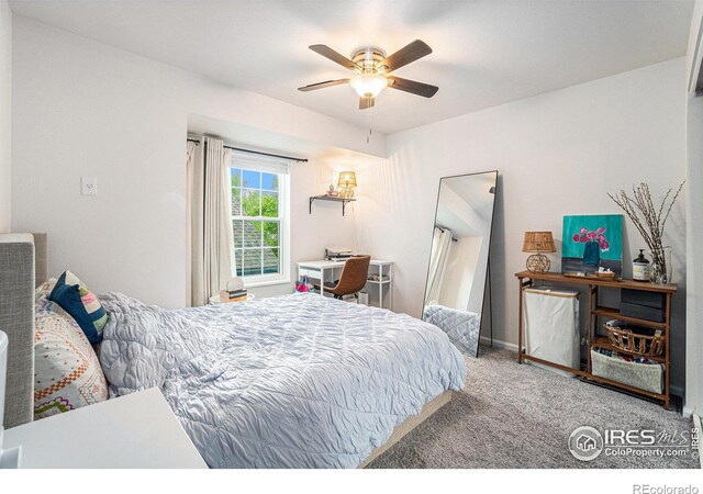 1601 W Swallow Rd Unit E, Fort Collins, CO 80526
