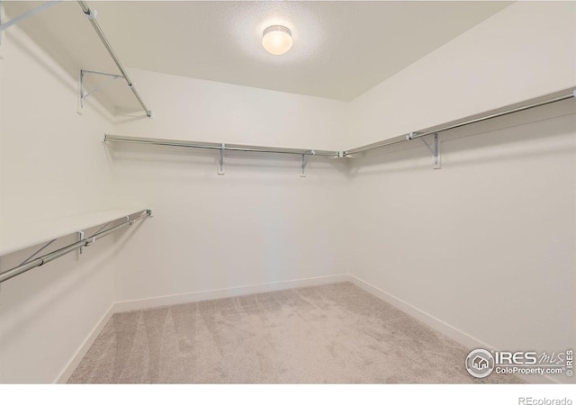 8353 Bijou Creek Ave, Littleton, CO 80125 - photo 18