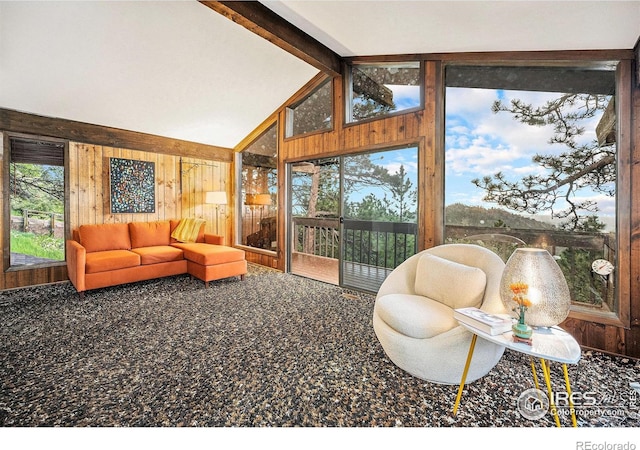 335 Wild Horse Cir, Boulder, CO 80304 - living area featuring wooden walls
