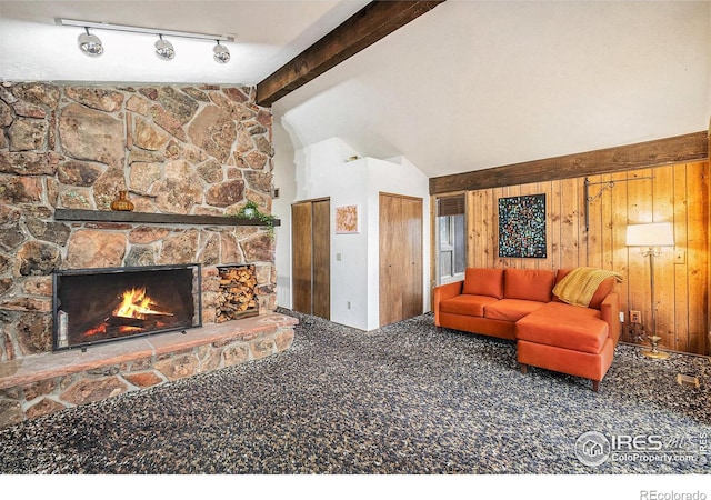 335 Wild Horse Cir, Boulder, CO 80304 - living area featuring carpet, a stone fireplace, wood walls, and track lighting