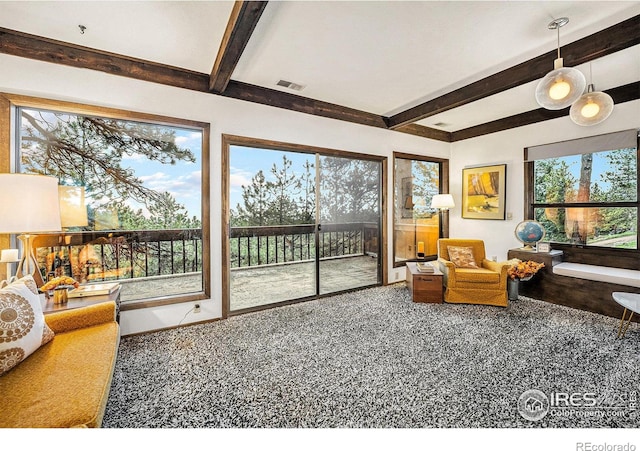 335 Wild Horse Cir, Boulder, CO 80304 - sunroom / solarium featuring beamed ceiling and plenty of natural light
