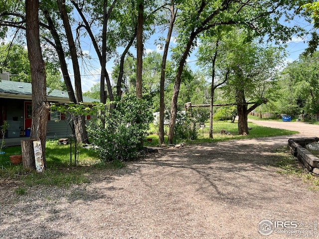 4501 Lawrence Ln, Laporte, CO 80535 - view of yard