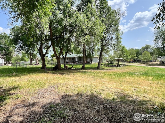 4501 Lawrence Ln, Laporte, CO 80535 - view of yard