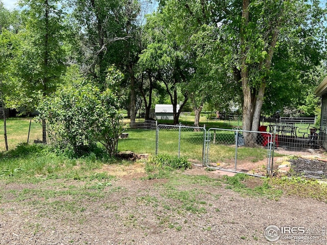 4501 Lawrence Ln, Laporte, CO 80535 - view of yard with a gate