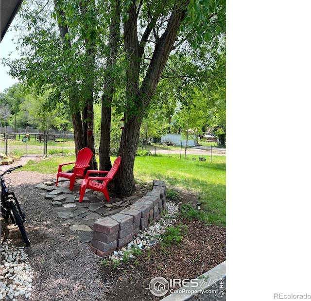 4501 Lawrence Ln, Laporte, CO 80535 - view of yard