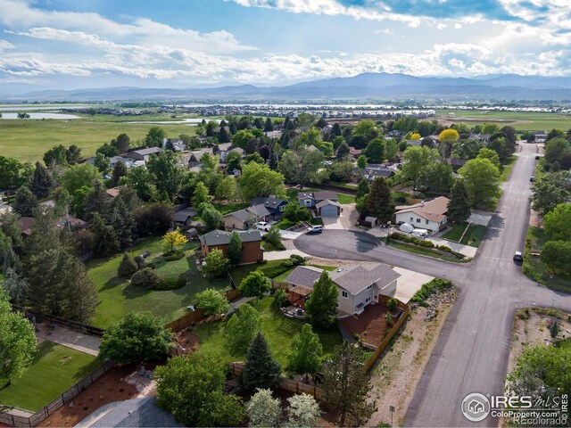 4700 Jacks Ct, Loveland, CO 80537 - photo 6