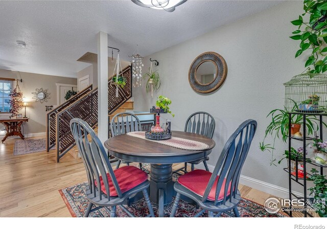 4700 Jacks Ct, Loveland, CO 80537 - photo 20