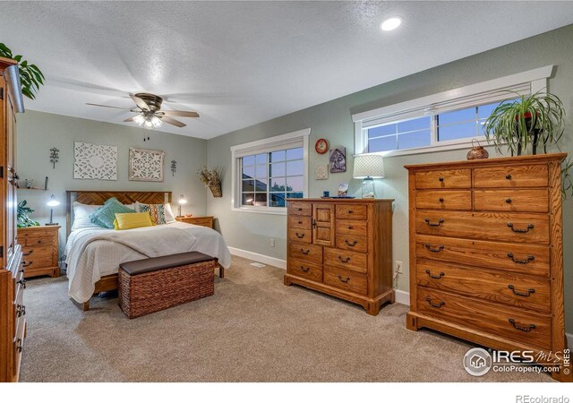 4700 Jacks Ct, Loveland, CO 80537 - photo 26