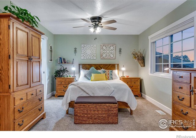 4700 Jacks Ct, Loveland, CO 80537 - photo 28